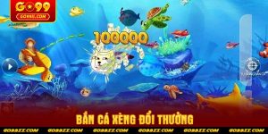 ban-ca-xeng-doi-thuong